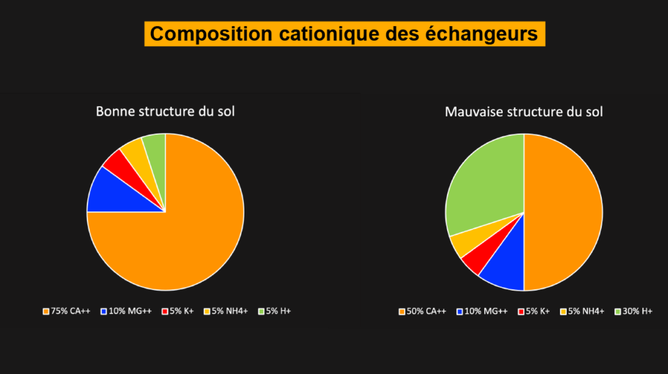 Composition cationique des échangeurs sol