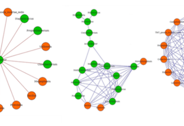microbiology interactions network