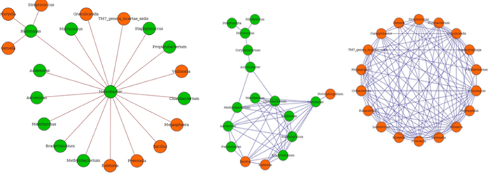 microbiology interactions network